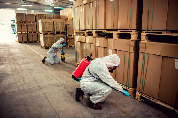 Wildlife Control Services in Lake Meade, PA