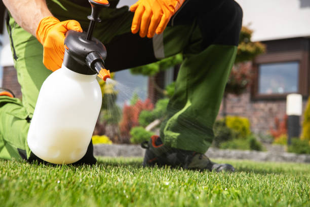Best Pest Control Treatment  in Lake Meade, PA