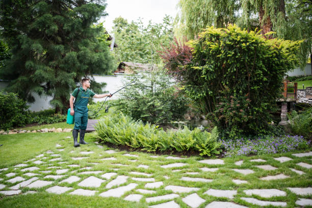 Best Best Pest Control Companies  in Lake Meade, PA