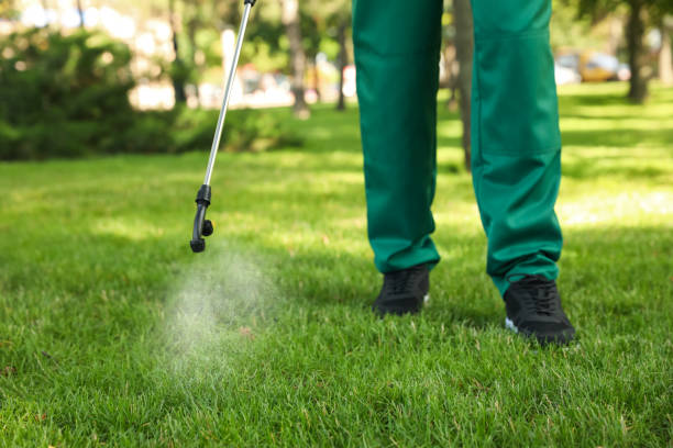 Best Flea Control Services  in Lake Meade, PA