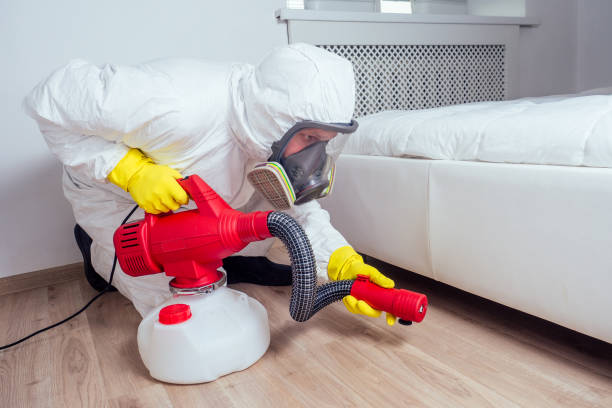 Best Mosquito Control Services  in Lake Meade, PA