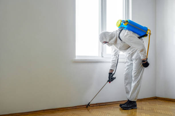 Best Pest Prevention Services  in Lake Meade, PA