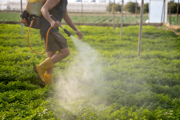 Best Local Pest Control Services  in Lake Meade, PA