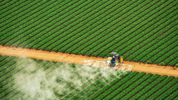 Best Pest Removal Services  in Lake Meade, PA