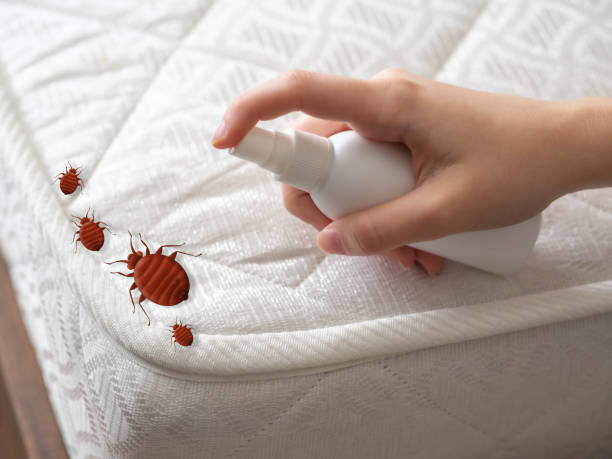 Reliable Lake Meade, PA Pest Control Solutions